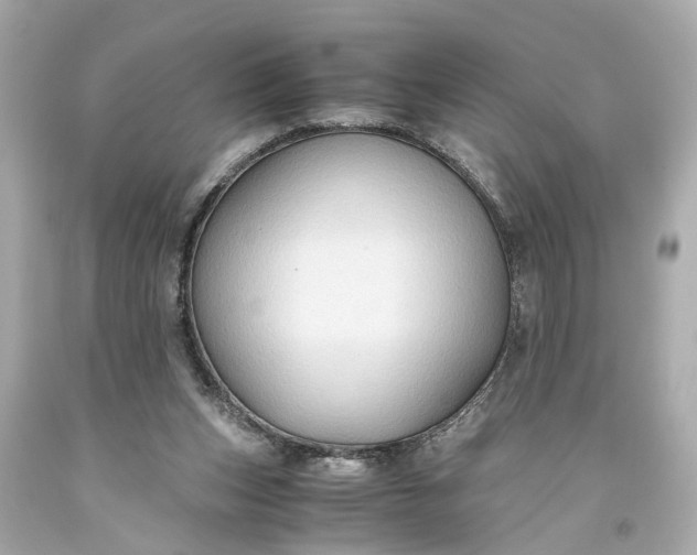 X0000093590159200710291129