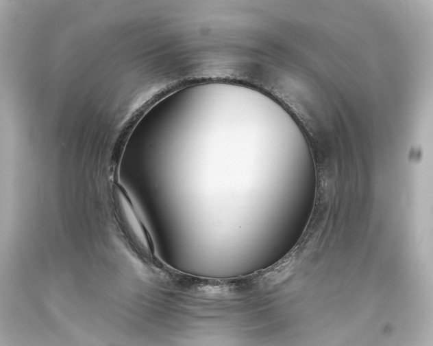 X0000093590160200710291129