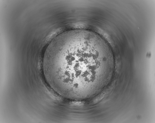 X0000093590161200710291129