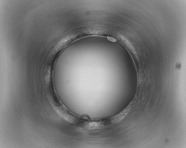 X0000093590163200710291129