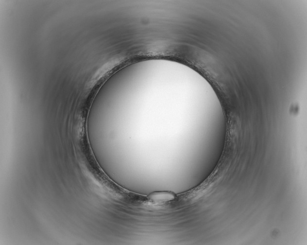 X0000093590164200710291129