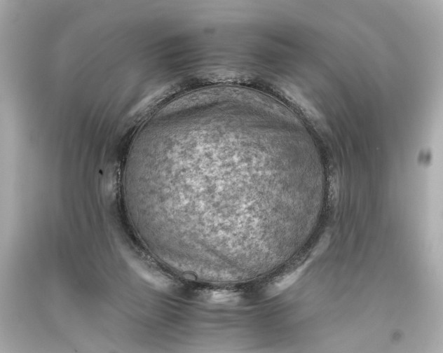 X0000093590165200710291129