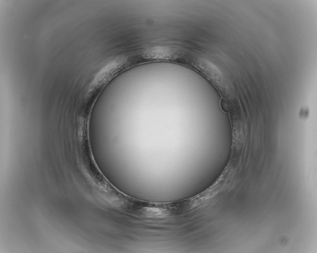 X0000093590167200710291129