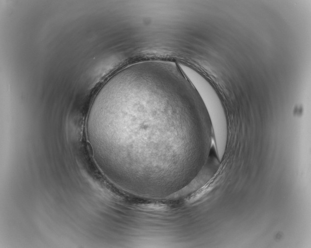 X0000093590168200710291129