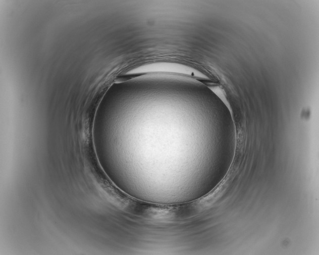 X0000093590170200710291129