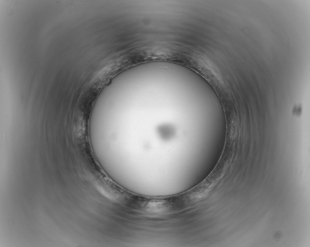 X0000093590173200710291130