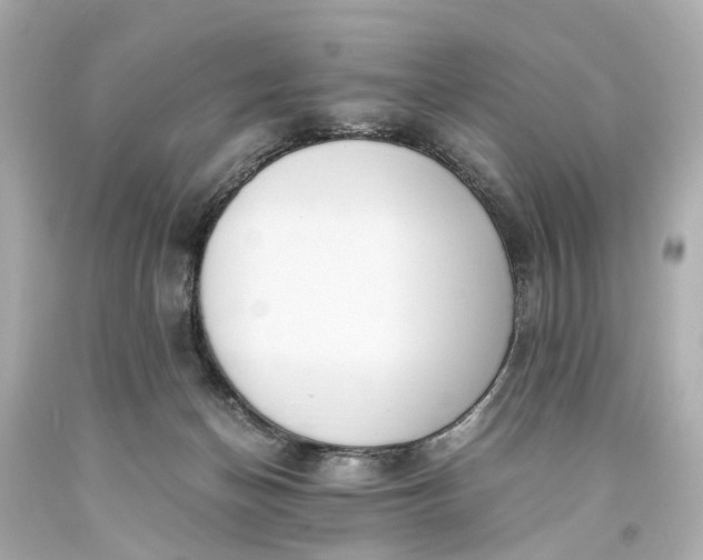X0000093590174200710291130