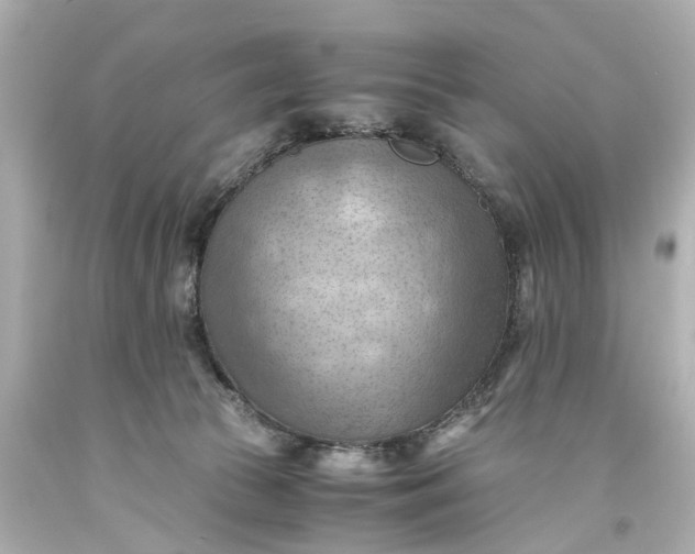 X0000093590177200710291130