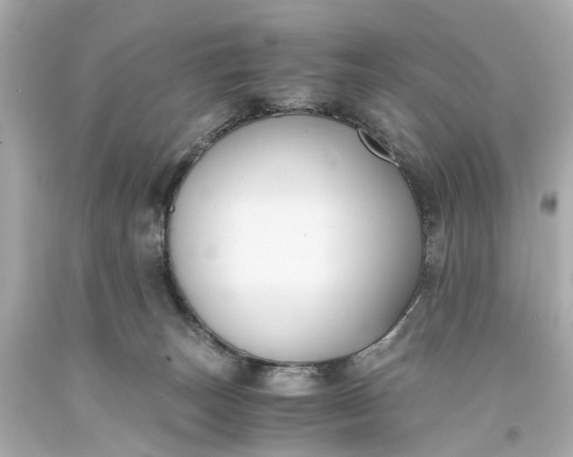 X0000093590179200710291130