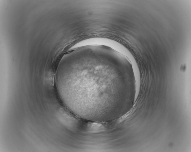 X0000093590180200710291130