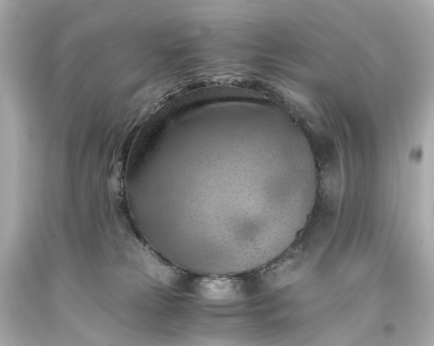 X0000093590181200710291130