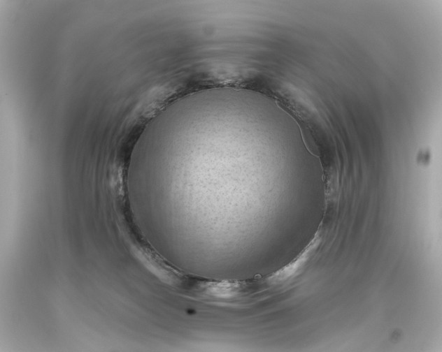 X0000093590182200710291130