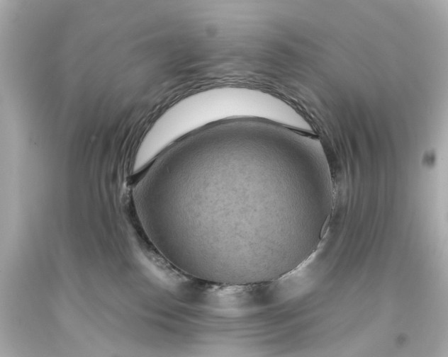 X0000093590186200710291130