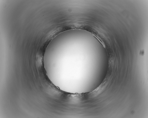 X0000093590188200710291130