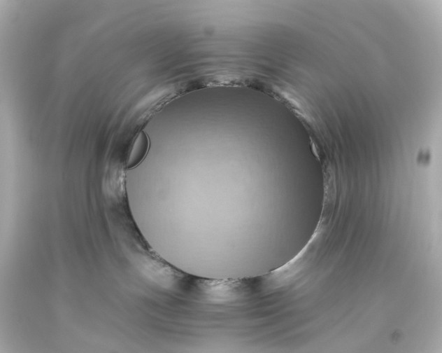 X0000093590191200710291130