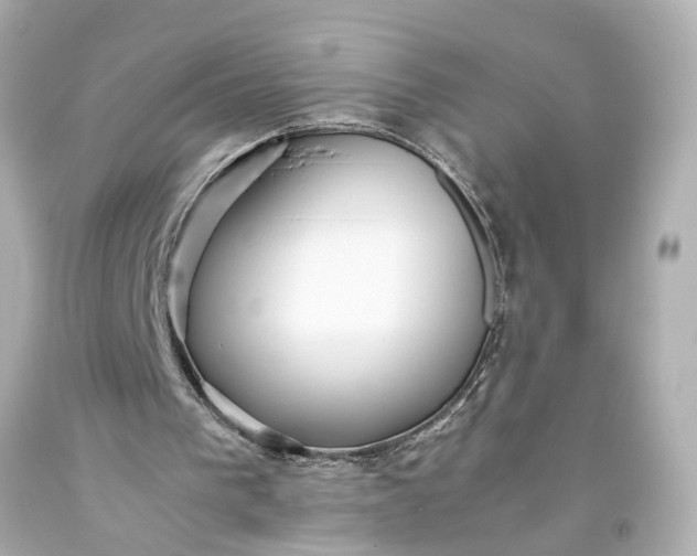 X0000093590193200710291129