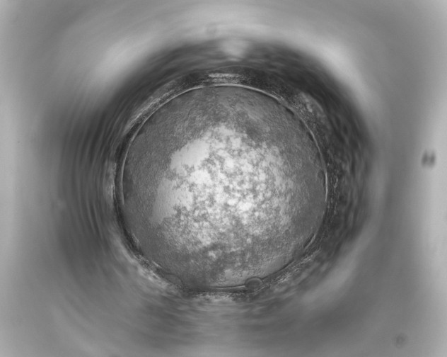 X0000093590194200710291129