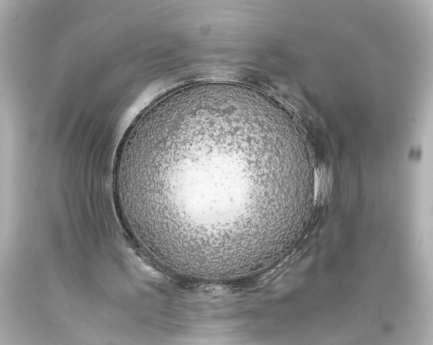 X0000093590195200710291129