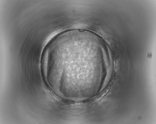 X0000093590196200710291129