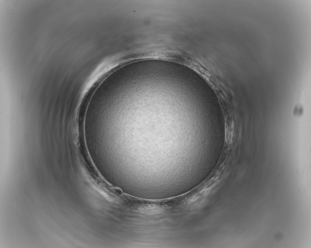 X0000093590198200710291129