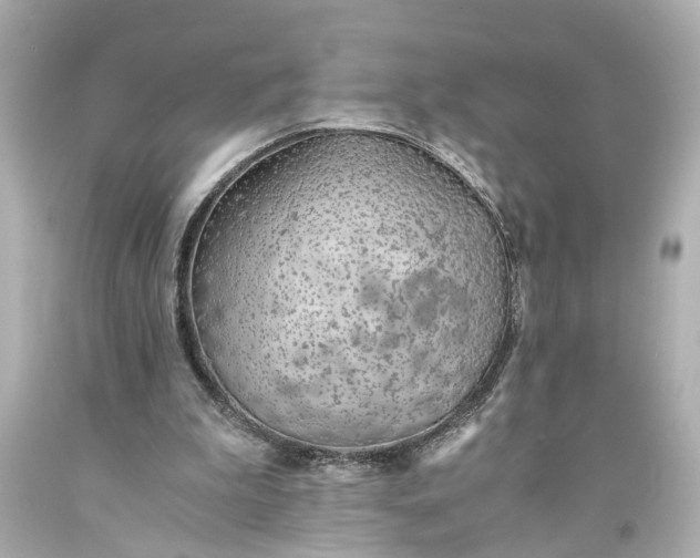 X0000093590199200710291129