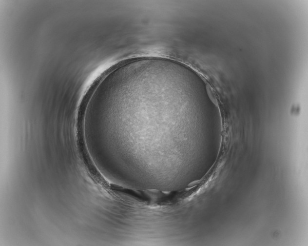 X0000093590200200710291129