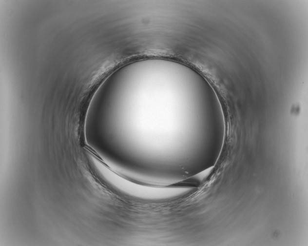 X0000093590201200710291129