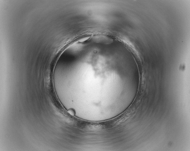 X0000093590202200710291129