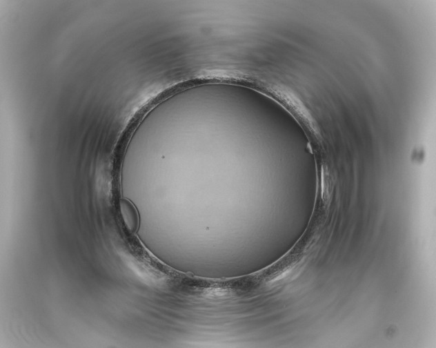 X0000093590204200710291129