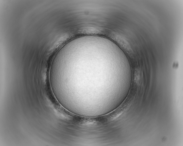 X0000093590206200710291129