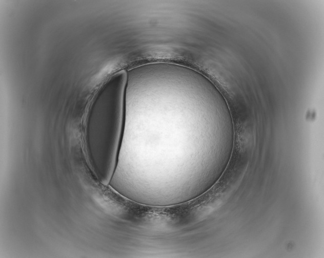 X0000093590207200710291129