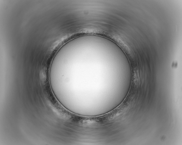 X0000093590208200710291129