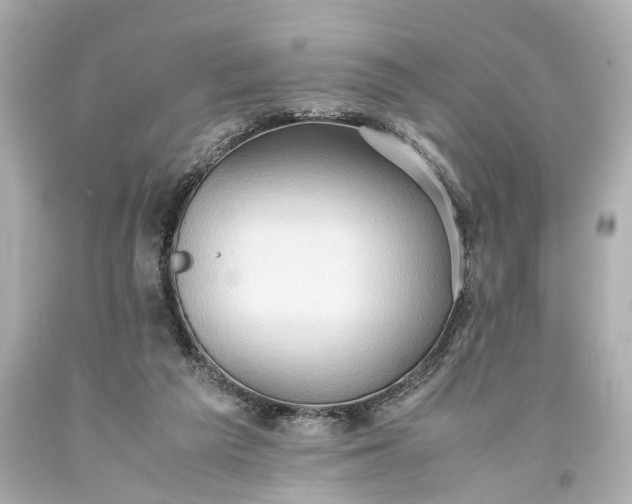 X0000093590209200710291129
