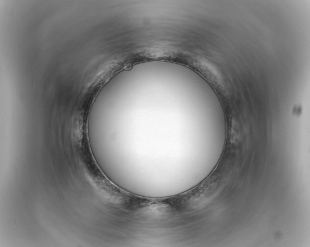 X0000093590210200710291129
