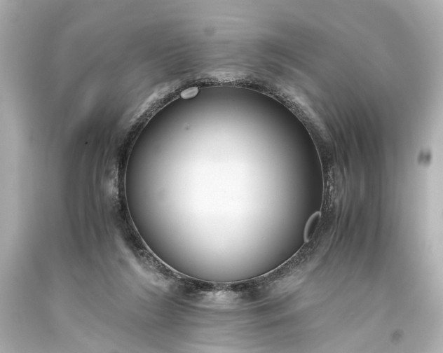 X0000093590212200710291129