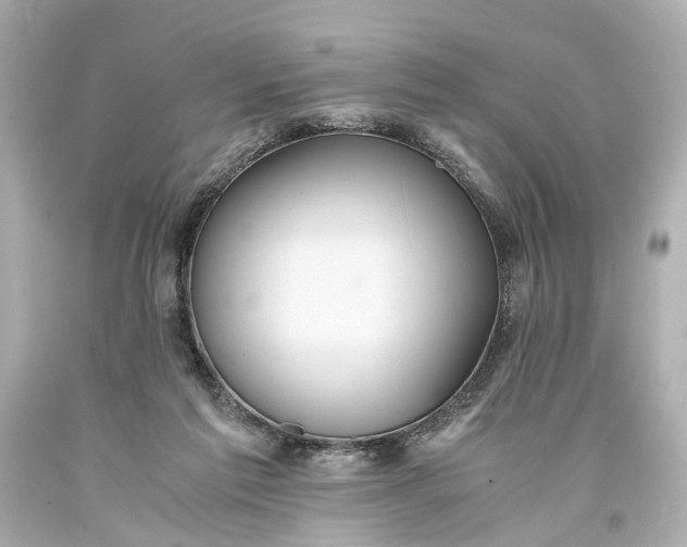 X0000093590213200710291129