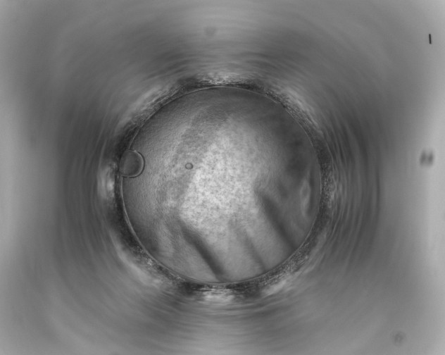 X0000093590214200710291129
