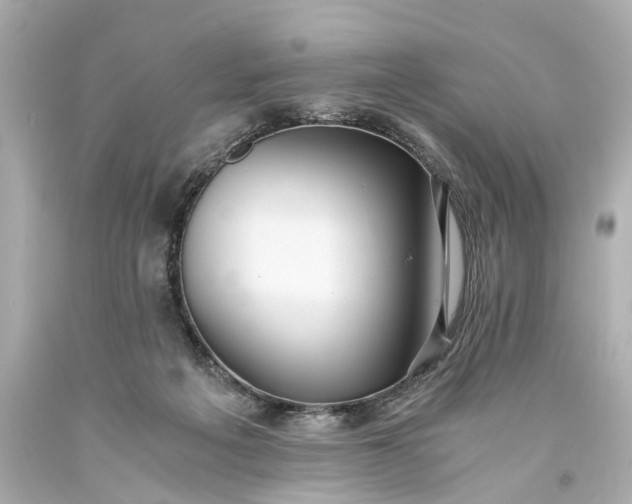 X0000093590217200710291129
