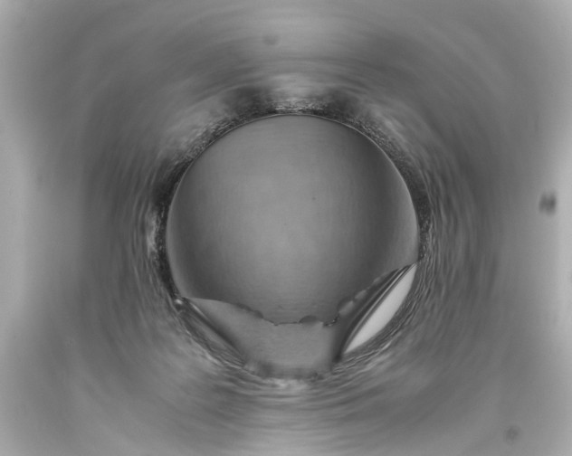 X0000093590219200710291129
