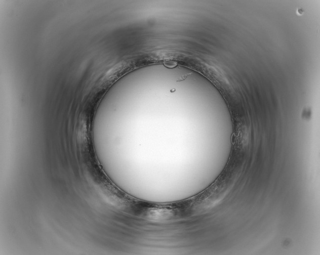 X0000093590220200710291129