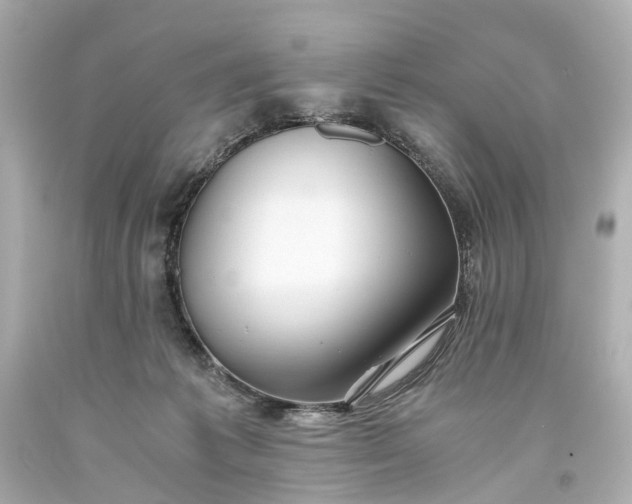 X0000093590221200710291129