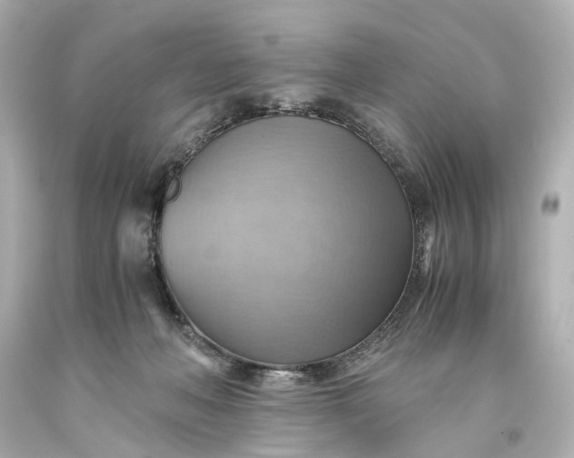 X0000093590222200710291129