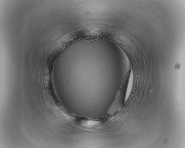 X0000093590223200710291129