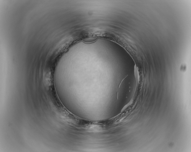X0000093590224200710291129