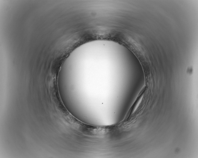 X0000093590225200710291129