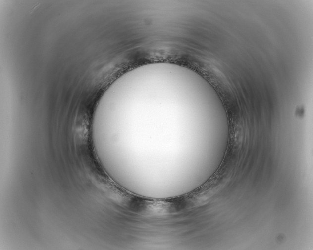X0000093590226200710291129