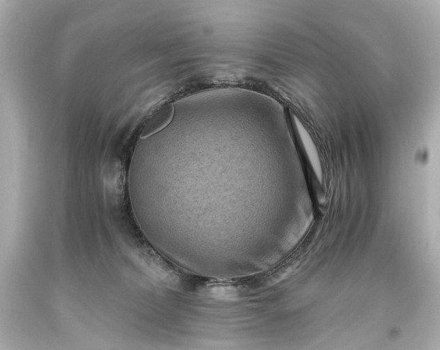 X0000093590228200710291129