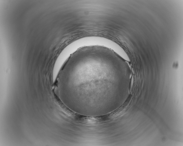 X0000093590229200710291129