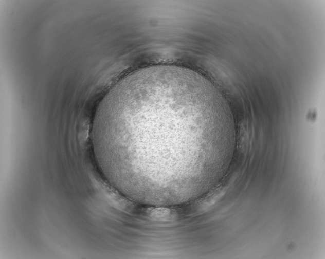 X0000093590230200710291129