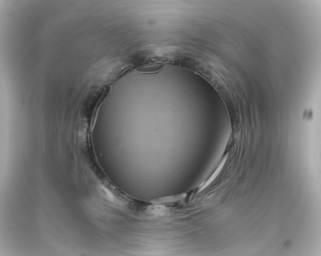 X0000093590231200710291129